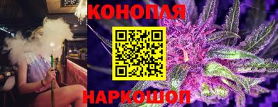 a pvp Гусь-Хрустальный