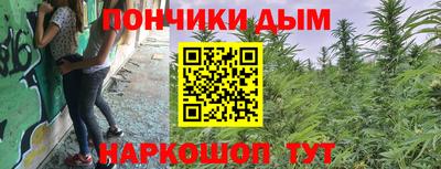 a pvp Гусь-Хрустальный