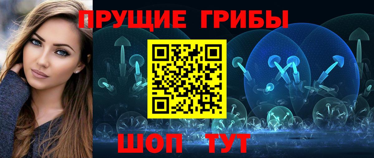Галлюциногенные грибы Psilocybe Ногинск